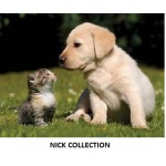 NICK COLLECTION