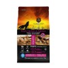 AMBROSIA Grain Free Puppy Large Chicken & Salmon 2Kg 
