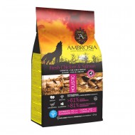 AMBROSIA Grain Free Puppy Large Chicken & Salmon 12Kg 