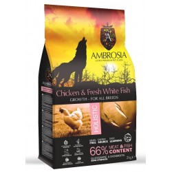 AMBROSIA GRAIN FREE ADULT CHICKEN & SALMON LARGE BREED 2Kg