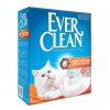 Ever Clean Fast Acting Odour Control Cat Litter 6L 