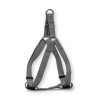 GLEE - Σαμαράκι  Grey S 16mmx41cm-51cm