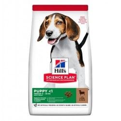 Hill's - Science Plan Puppy Medium Lamb & Rice 2,5kg