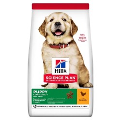 Hill's - Science Plan Puppy Large Breed Chicken 2,5kg