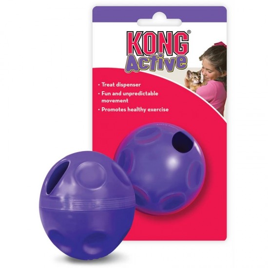 Kong Treat Ball 