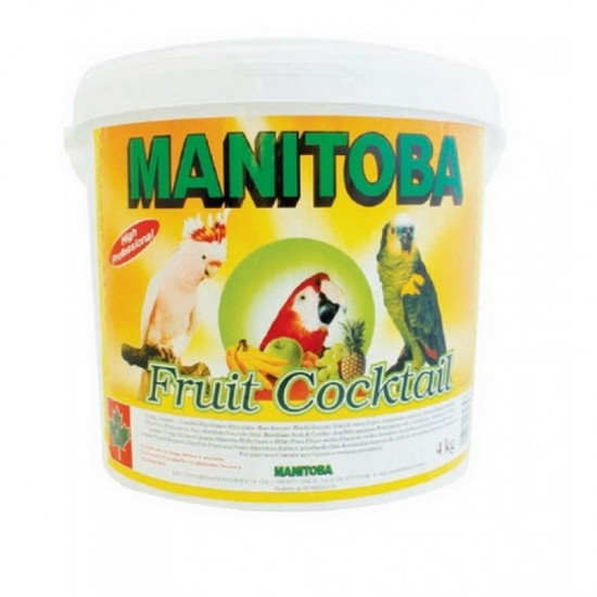 MANITOBA TROPICAL FRUIT COCKTAIL 4KG