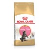 ROYAL CANIN KITTEN MAIN COON 2kg