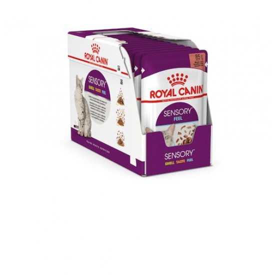 ROYAL CANIN FHN SENSORY SMELL GRAVYY 85gr/12TMX