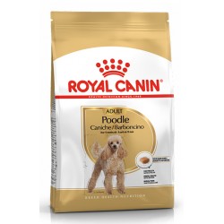 ROYAL CANIN POODLE Adult 1,5KG