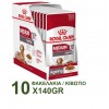 ROYAL CANIN MEDIUM AGEING POUCH 140GR / 10 ΦΑΚΕΛΑΚΙΑ