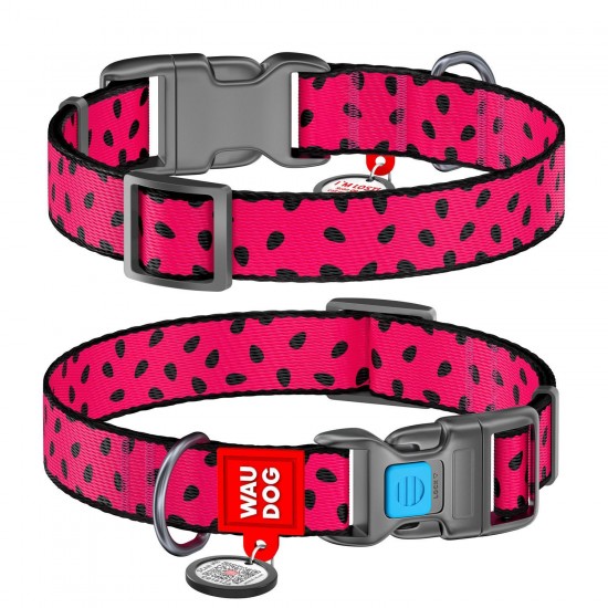 WD - Nylon dog collar with QR passport "WATERMELON" PLASTIC FASTEX 20MM X 24-40CM (4776)