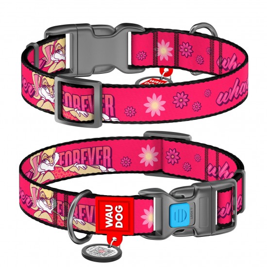 WD - Nylon dog collar with QR passport "LOONEY 6" PLASTIC FASTEX M: 20MM X 24-40CM (002-014060)