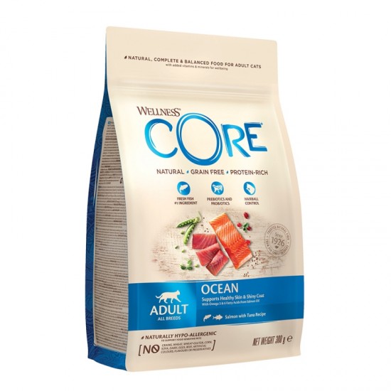 WELLNESS CORE ADULT ΣΟΛΩΜΟΣ & ΤΟΝΟΣ 300gr