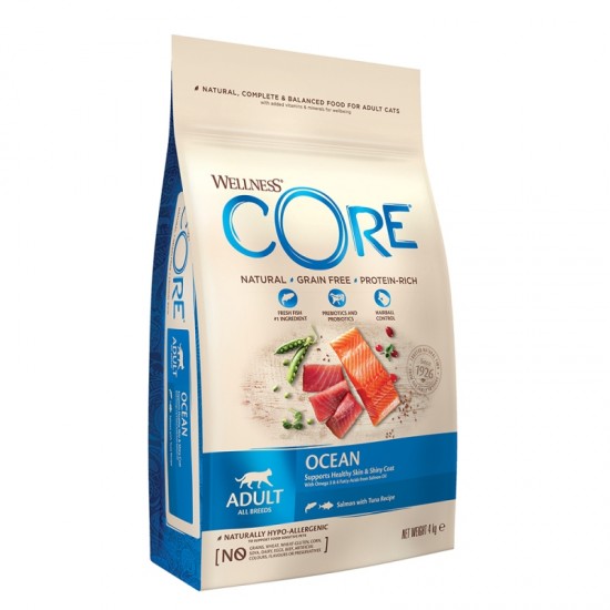 WELLNESS CORE ADULT ΣΟΛΩΜΟΣ & ΤΟΝΟΣ 4kg